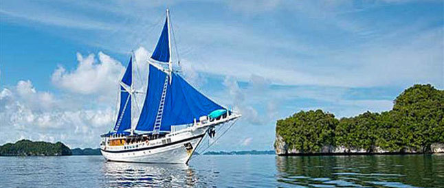 Tauchsafari Palau Palau Siren
