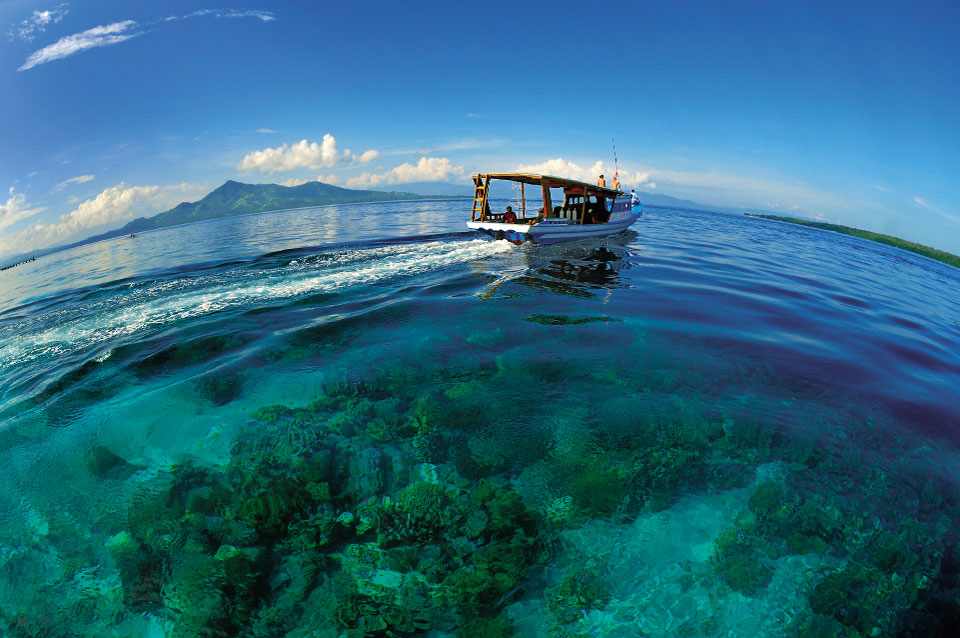Tauchen Siladen Resort / Indonesien